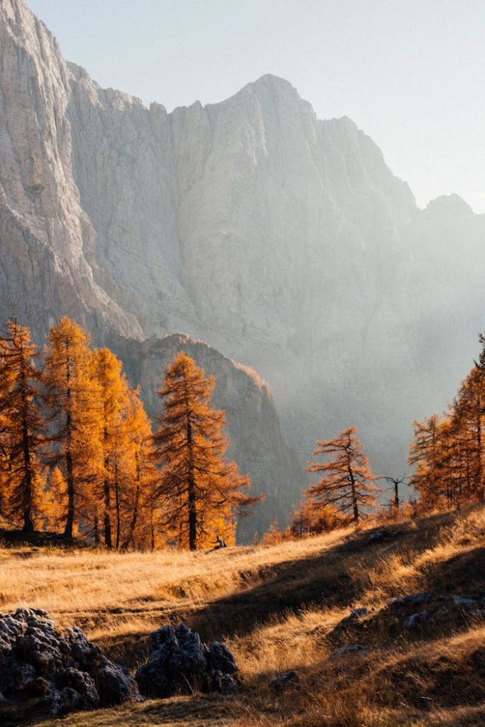 Breathtaking autumn scene in Julian Alps, Slovenia, with vibrant trees and rocky mountains.